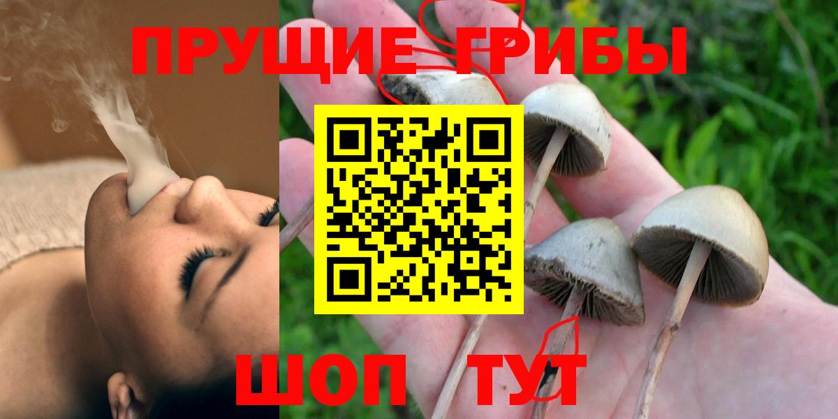 Галлюциногенные грибы Cubensis  Вход с VPN  Дальнегорск 