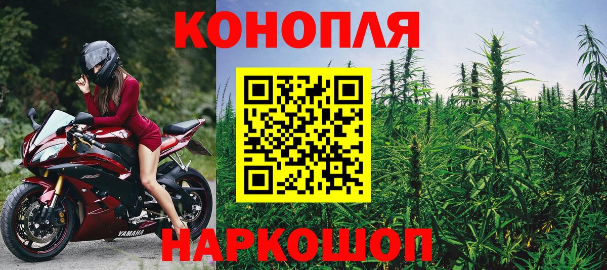 МАРИХУАНА OG Kush  Канабис Bruce Banner  Каннабис план  Вход с VPN  Дальнегорск 